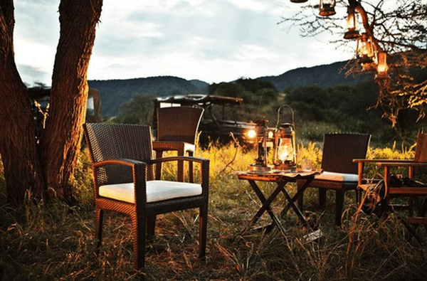PANAMA ARM CHAIR IN BRONZE (DISC'D) - Kolo Collection