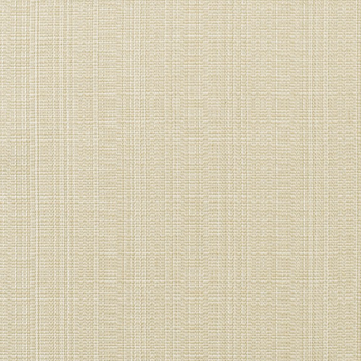 SUNBRELLA UPHOLSTERY LINEN ANTIQUE BEIGE