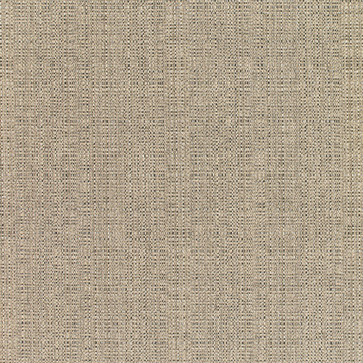 SUNBRELLA UPHOLSTERY LINEN STONE