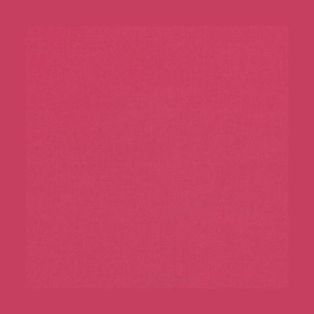 SUNBRELLA UPHOLSTERY CANVAS HOT PINK - Kolo Collection