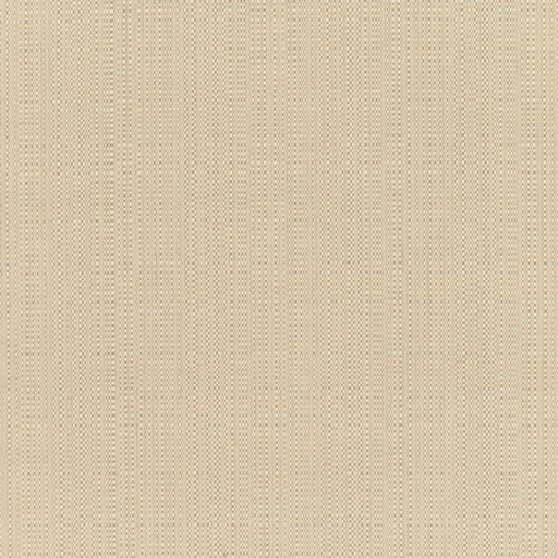 SUNBRELLA UPHOLSTERY LINEN CHAMPAGNE