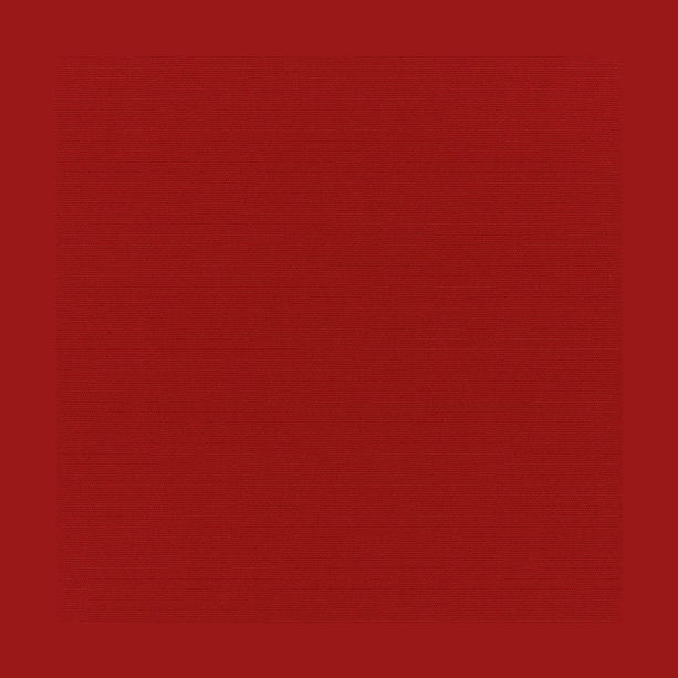 SUNBRELLA UPHOLSTERY CANVAS JOCKEY RED - Kolo Collection