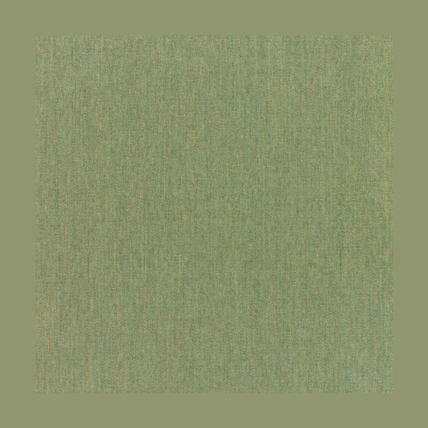 SUNBRELLA UPHOLSTERY CANVAS FERN - Kolo Collection
