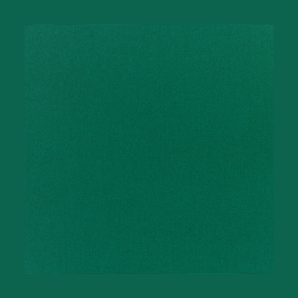 SUNBRELLA UPHOLSTERY CANVAS FOREST GREEN - Kolo Collection