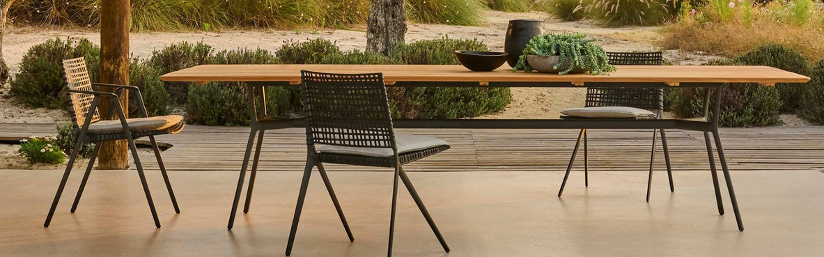 BRANCH DINING ARMCHAIR / ALUMINUM / POLYPROPYLENE