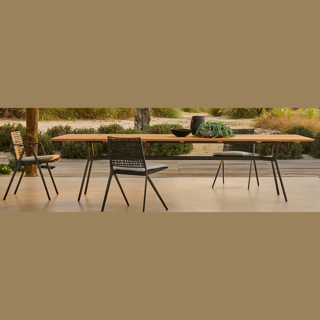 BRANCH DINING ARMCHAIR / ALUMINUM / POLYPROPYLENE - Kolo Collection