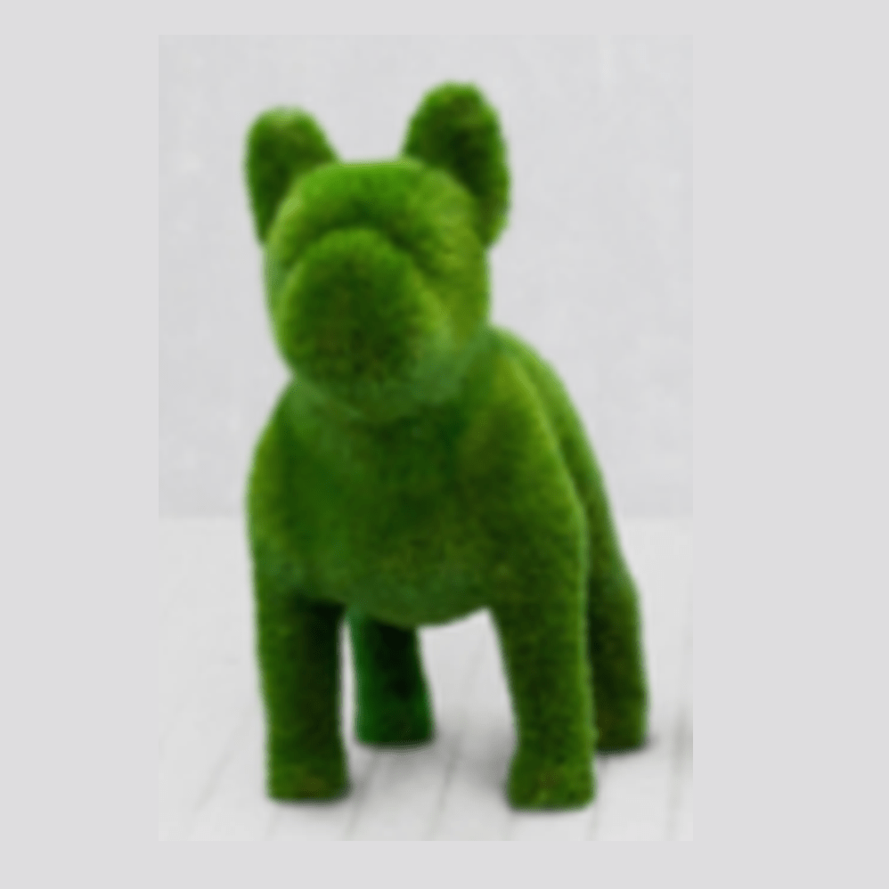 BACHO FRENCH BULLDOG / STRAIGHT HEAD / 43 x 47 x 20 - Kolo Collection