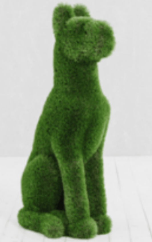 BACHO DOG SITTING / 49 x 23 x 15 - Kolo Collection