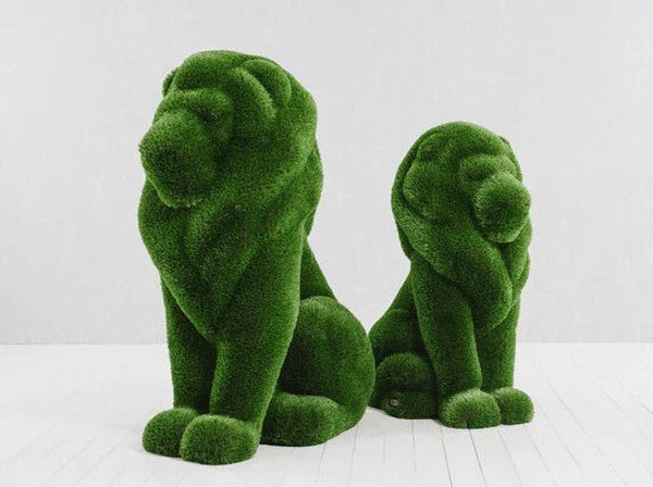 BACHO LION SITTING / 60 x 45 x 29 - Kolo Collection