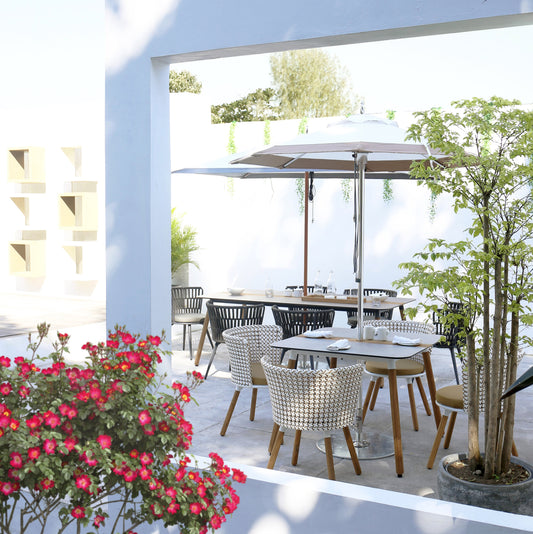 Mamagreen:  Where Hospitality Comes to Life