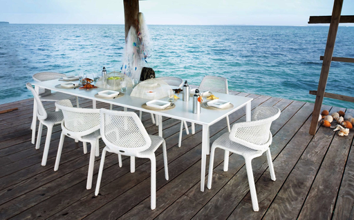 SEASHELL SIDE CHAIR