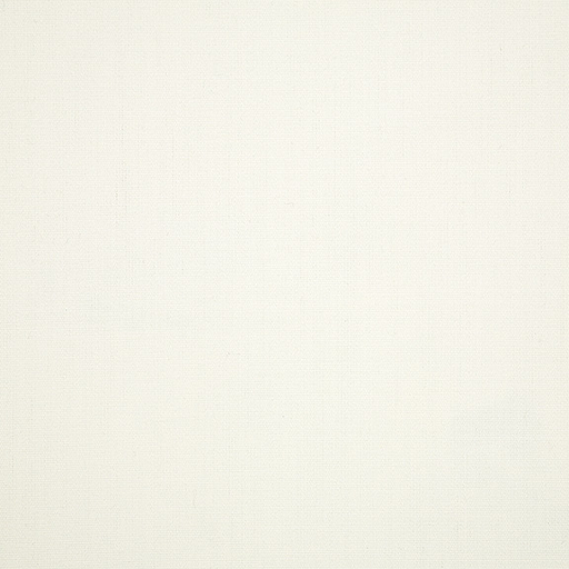 SUNBRELLA UPHOLSTERY  CANVAS WHITE