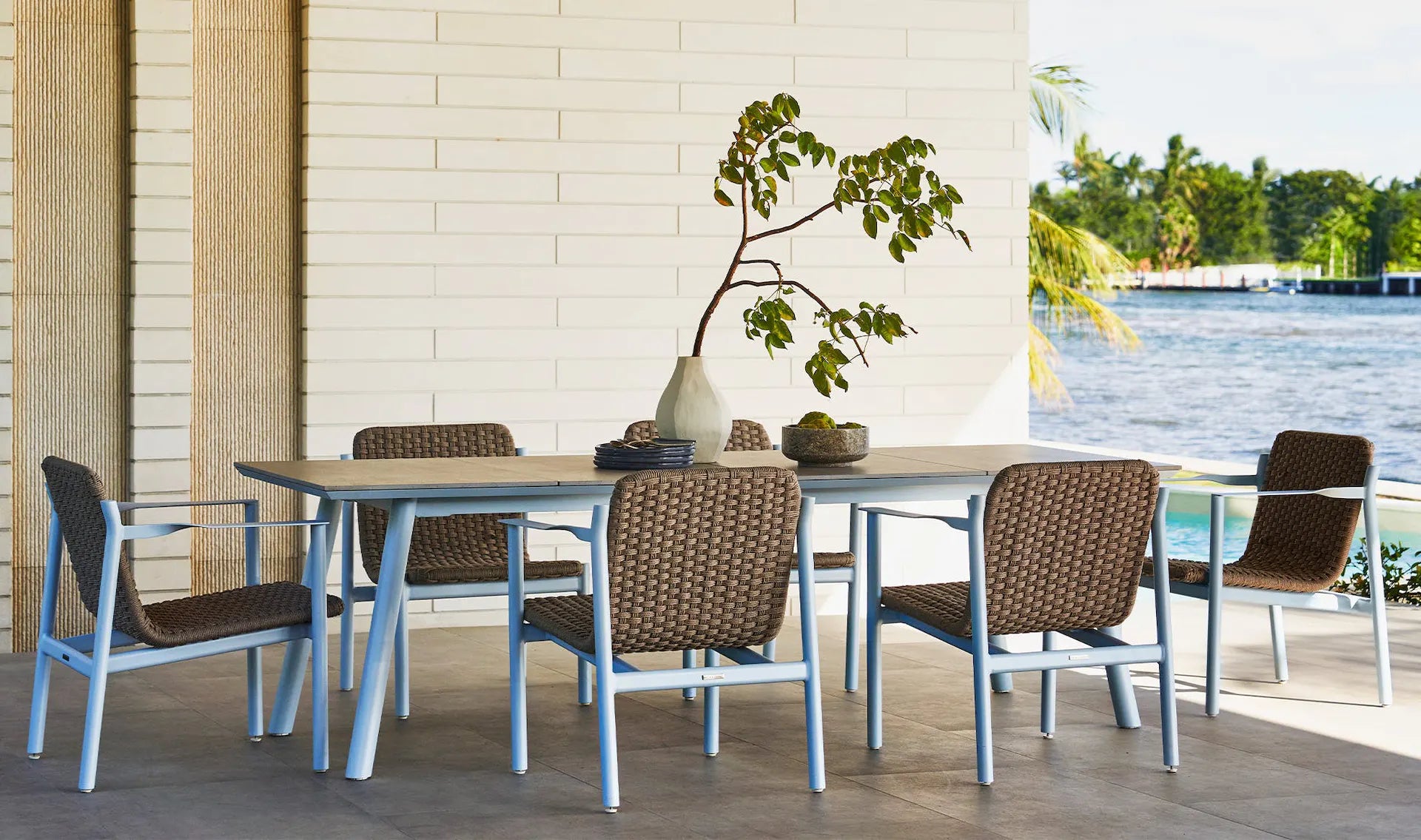 OLIVER DINING ARM CHAIR / GRADE A - Kolo Collection