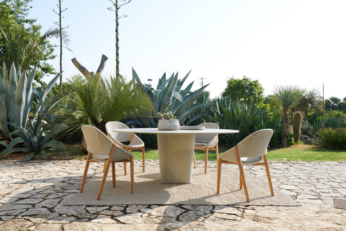 ELIO DINING ARMCHAIR / TEAK BASE