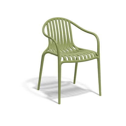 PALM ARM CHAIR